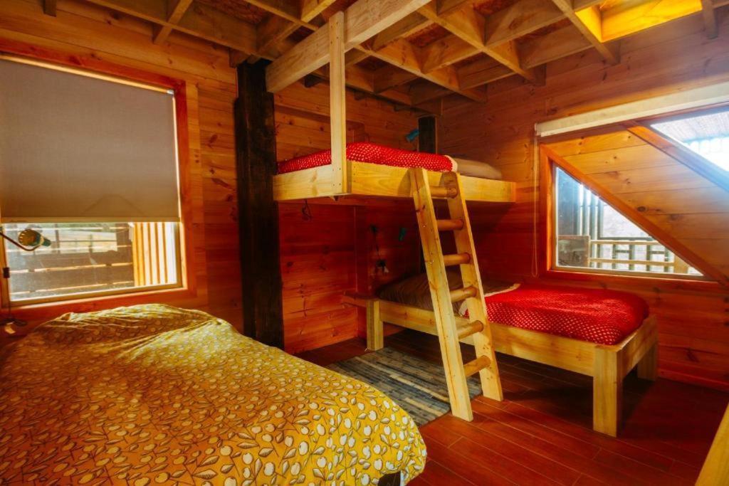 Sirena Insolente Hostel & Suites ปิชิเลมู ภายนอก รูปภาพ