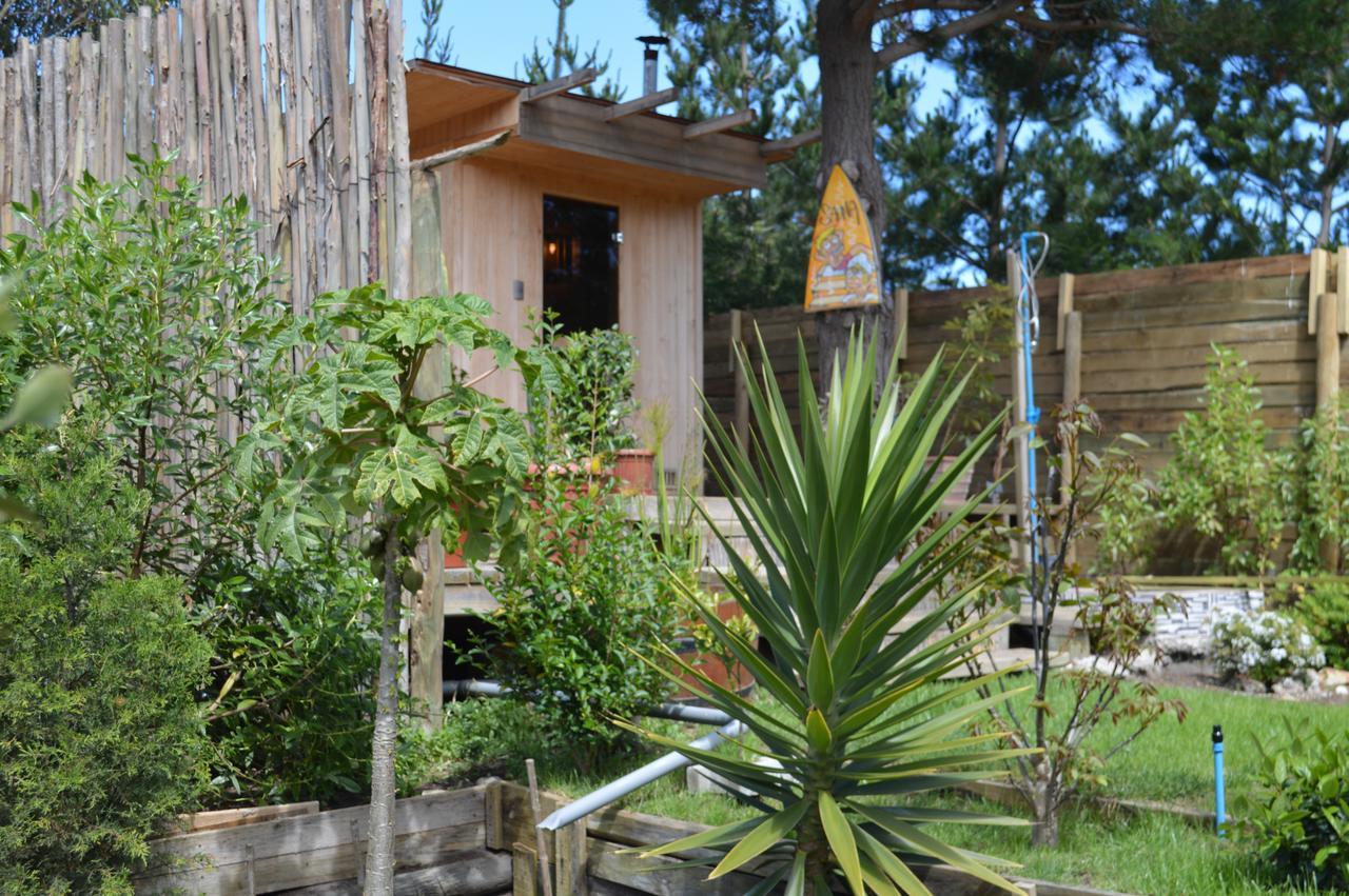 Sirena Insolente Hostel & Suites ปิชิเลมู ภายนอก รูปภาพ
